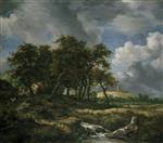 Bild:26817