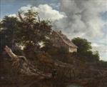 Bild:26821