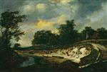 Bild:26824