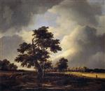 Bild:26846