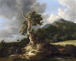 Bild:26859
