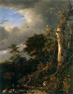Bild:26863