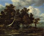 Bild:26864