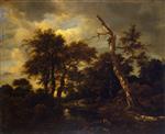 Bild:26871