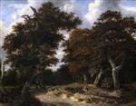 Bild:26874