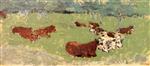 Bild:27644
