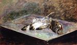 Bild:27891