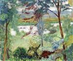 Bild:28657