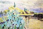 Bild:28841