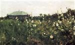 Bild:29766