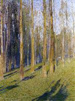 Bild:31238