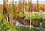 Bild:31242