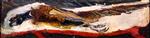 Bild:32043