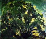 Bild:32063