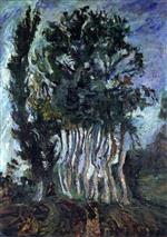 Bild:32094