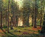 Bild:33903