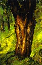 Bild:34472