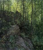 Bild:34551