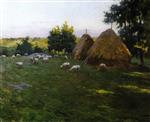Bild:34556