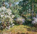 Bild:34574