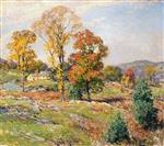 Bild:34644