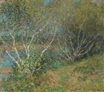 Bild:34647