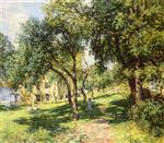 Bild:34667