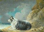 Bild:35191