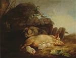 Bild:35226