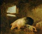 Bild:35241