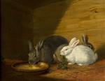 Bild:35247