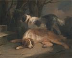 Bild:35257