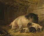 Bild:35265