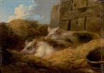 Bild:35317