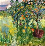 Bild:35371