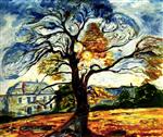 Bild:36278