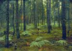 Bild:37020