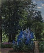 Bild:37034