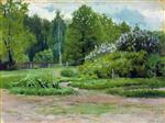 Bild:37080