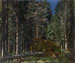 Bild:37098