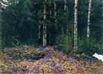 Bild:37113