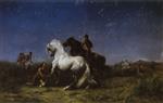 Bild:37265