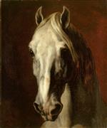 Bild:Horse Head