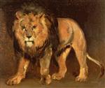 Bild:37371