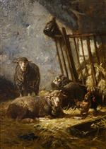 Bild:37814