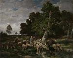 Bild:37818