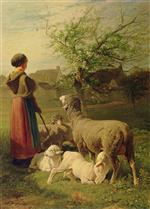 Bild:37831