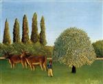 Bild:38060