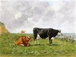 Bild:38447