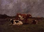 Bild:38457